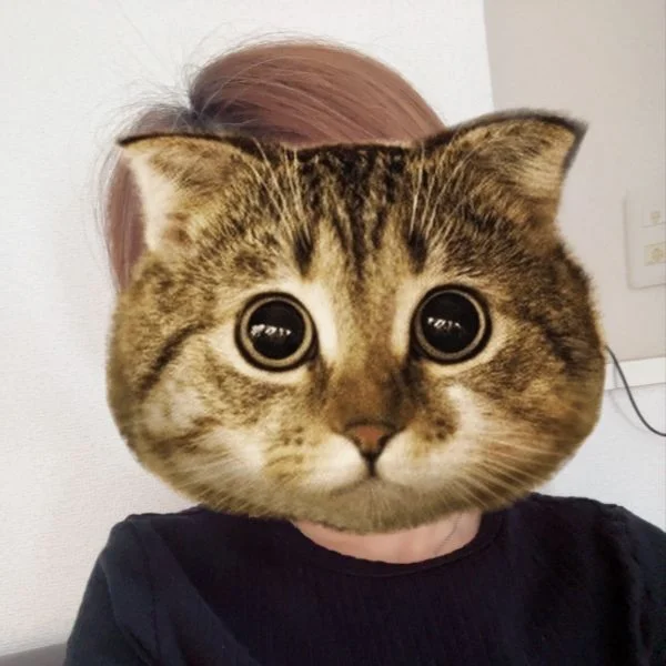 おはようございます