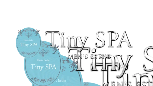 Tiny SPA