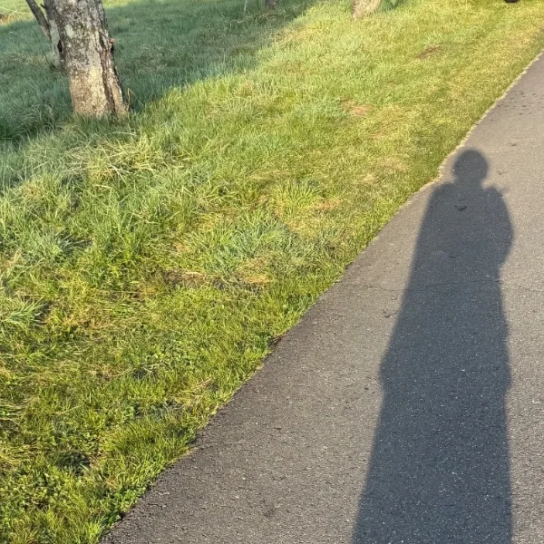出勤してますっ⭐︎
