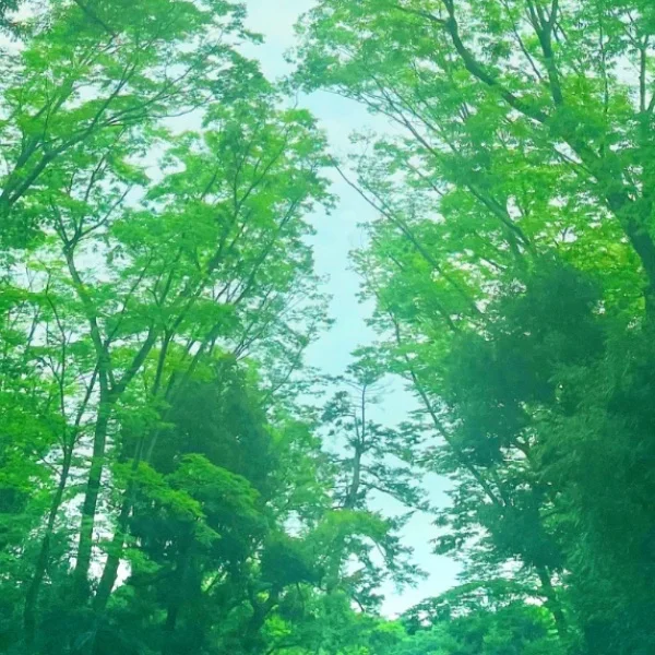 ありがとうございました♡