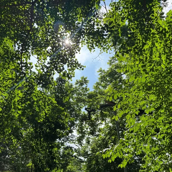 気がつけば､､､