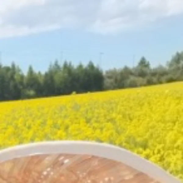 いい天気☀️