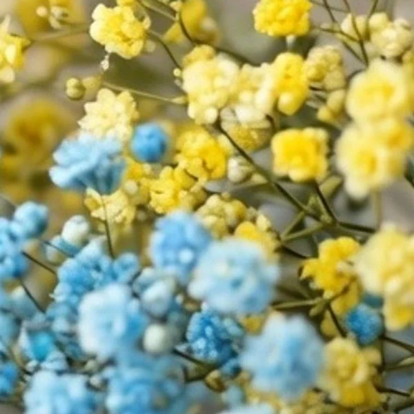 こんばんは・ᴗ・ )੭''