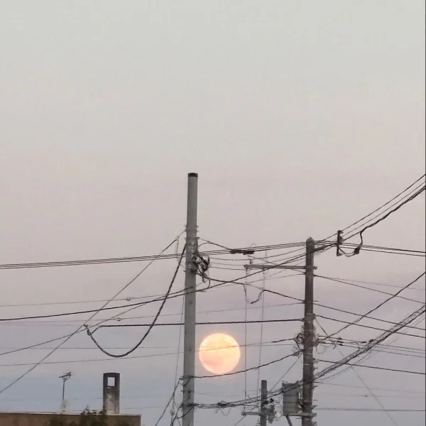 月曜日♡
