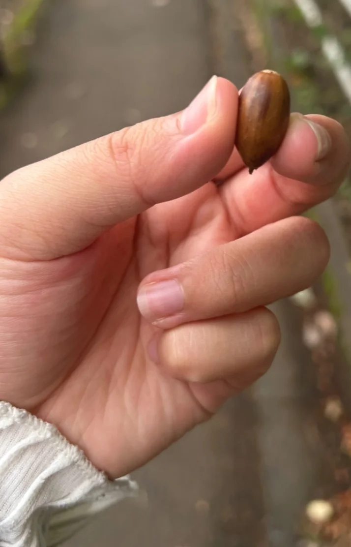 明日おります❣️