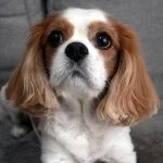 採用担当の鈴木さん