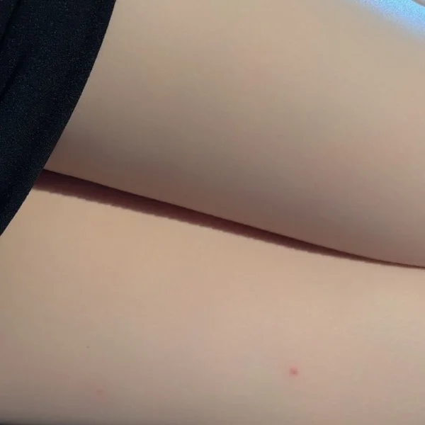 早く秋になれー🌟🌟