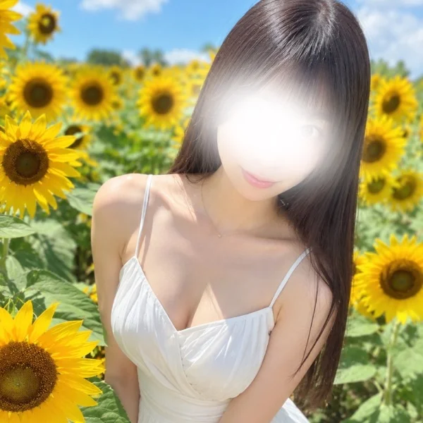 今月のご案内枠🌻
