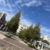 夜分遅くにこんばんは🍉夏バテ注意⚠️のサムネイル