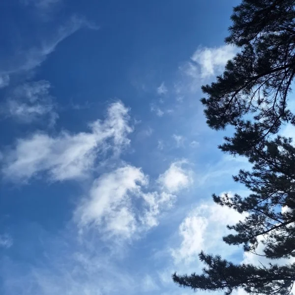 こんばんは🩷