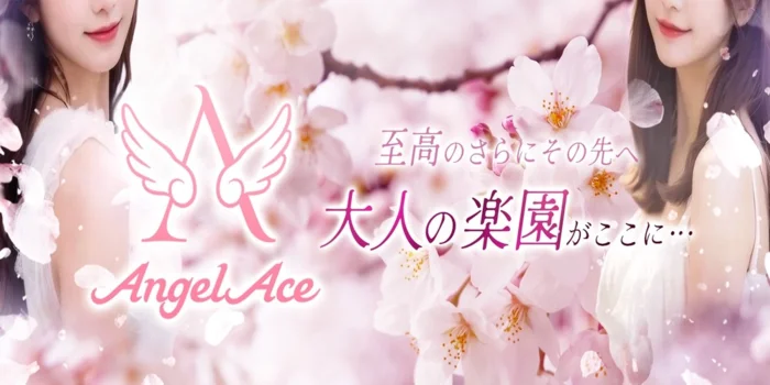 Angel Ace(エンジェルエース)