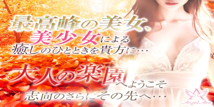 Angel Ace(エンジェルエース)