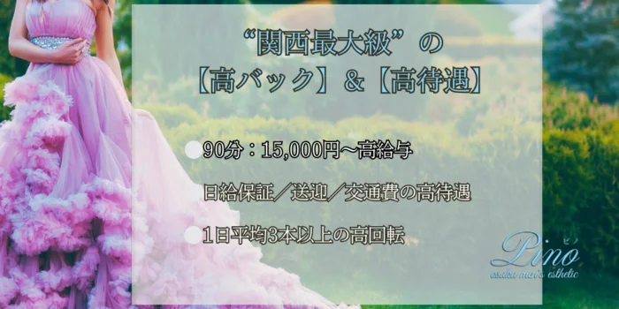 Pino(ピノ)の求人募集イメージ