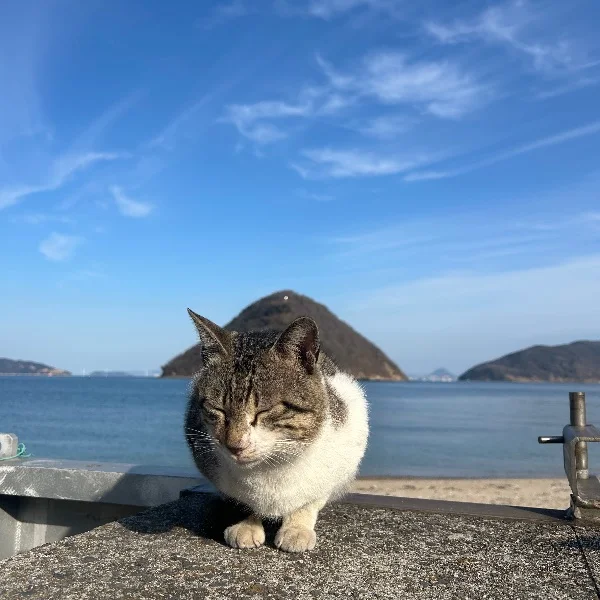 暇だヨ