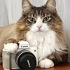 Tricoを選んだ理由、聞いてみました。のサムネイル