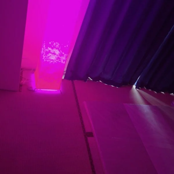 お気に入りのピンクのお部屋で施術します🩷🎶
