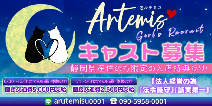 Artemis(アルテミス)の求人募集イメージ