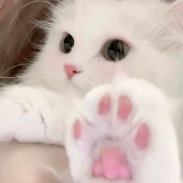 今週も全日🈵❣️
