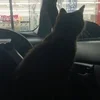 ドライブ好き何処までも送迎しちゃいます。のサムネイル