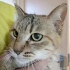雨雨雨降らないでのサムネイル