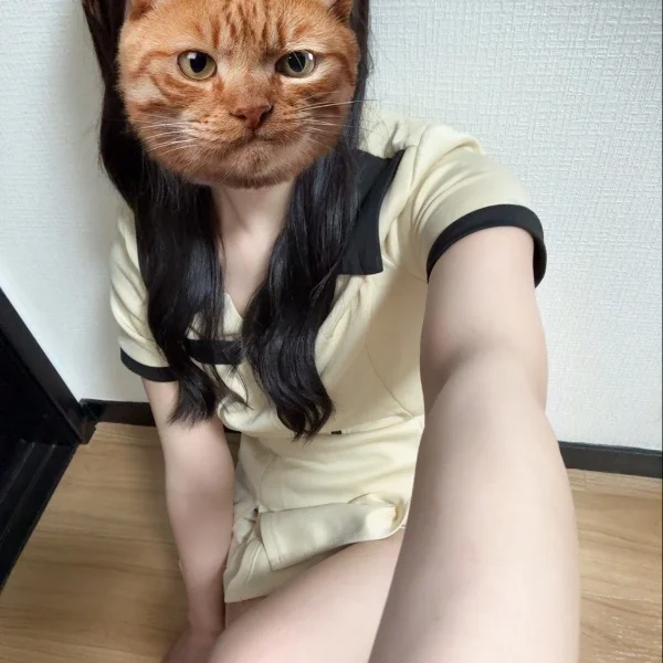 本日も！
