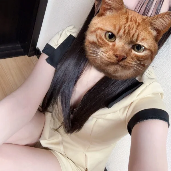 本日！