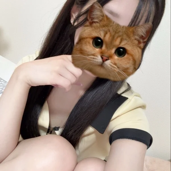 出勤しました🐱