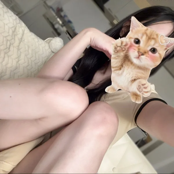 本日も！