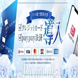 ✨🧚‍♀️キャッシュレス決済🧚‍♀️✨