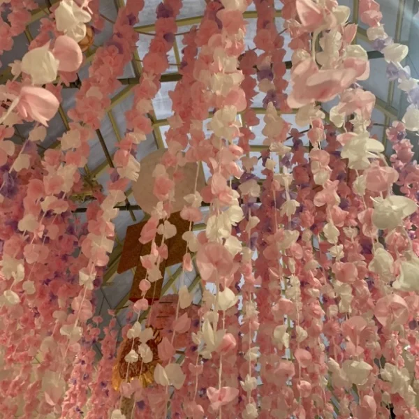 やっほーᙏ̤̫͚ฅ´- ✨