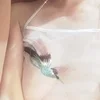 野亜夫人