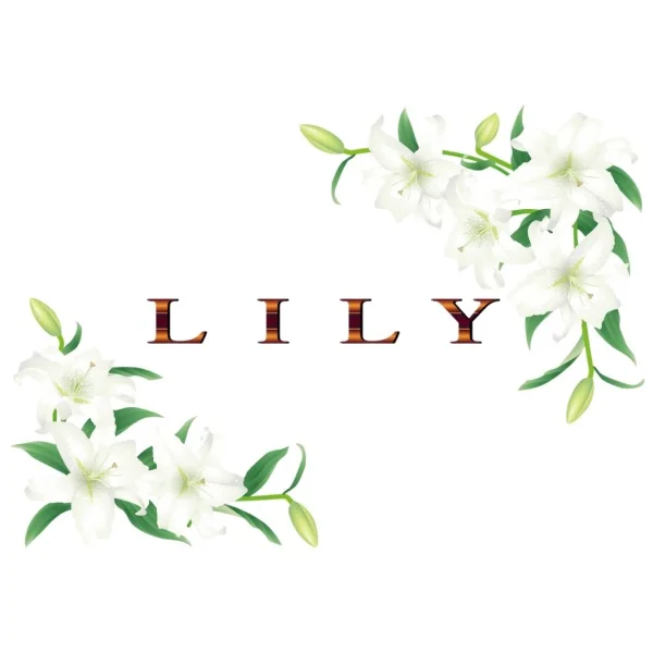 ＬＩＬＹ〜リリー〜