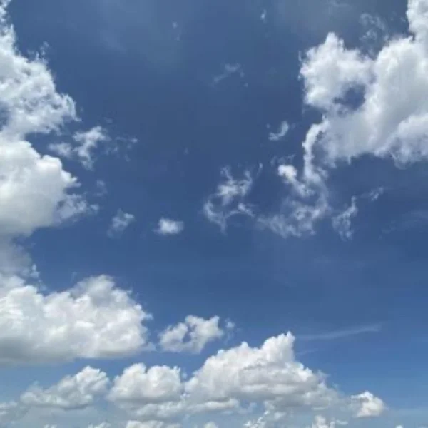 いつも感謝です✨✨