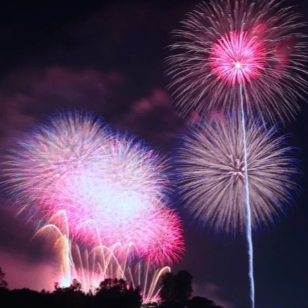 千波湖の花火大会🎆でしたね✨