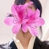 小鳥遊(タカナシ)