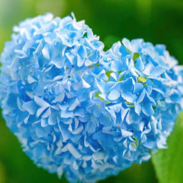 こんばんは🥰