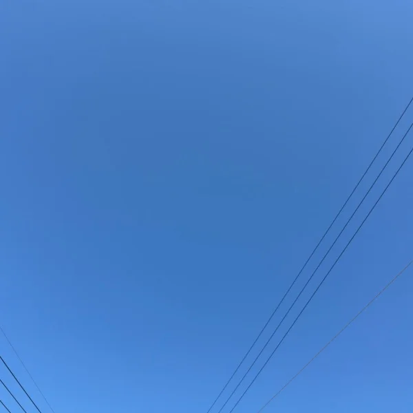 秋晴れ☀️｡°