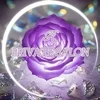 R private salon
