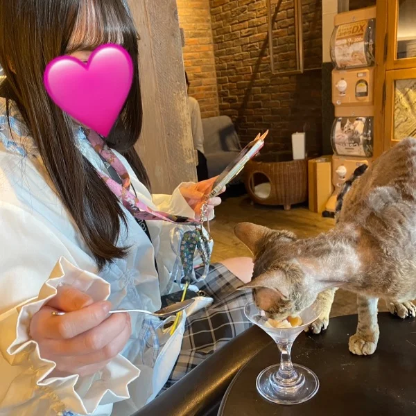 ラスト！！