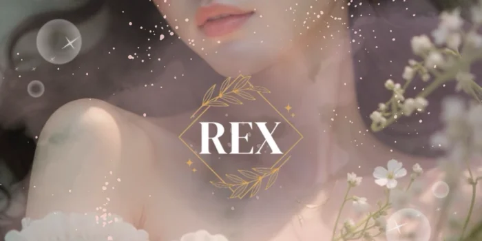 REXの求人募集イメージ