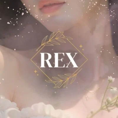 REXのメリットイメージ(1)