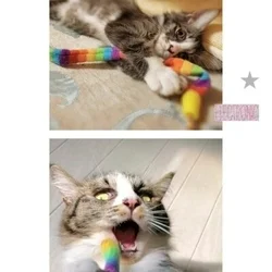 中山🌸ﾐｾｽ·ﾌﾗﾜｰｽﾊﾟ🌸