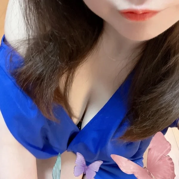 🦋関知🦋.*˚