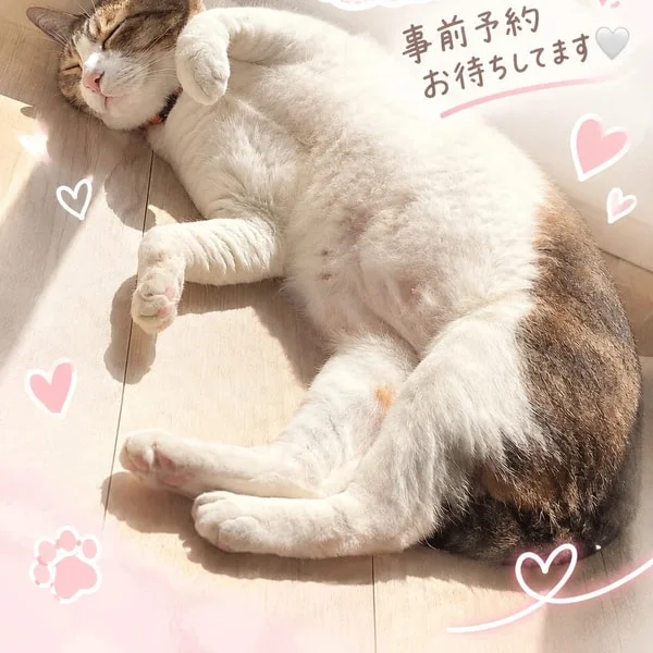 土曜も会えるよ🥰