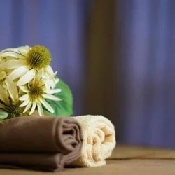 ✨超✨お得なクーポンございます❣️