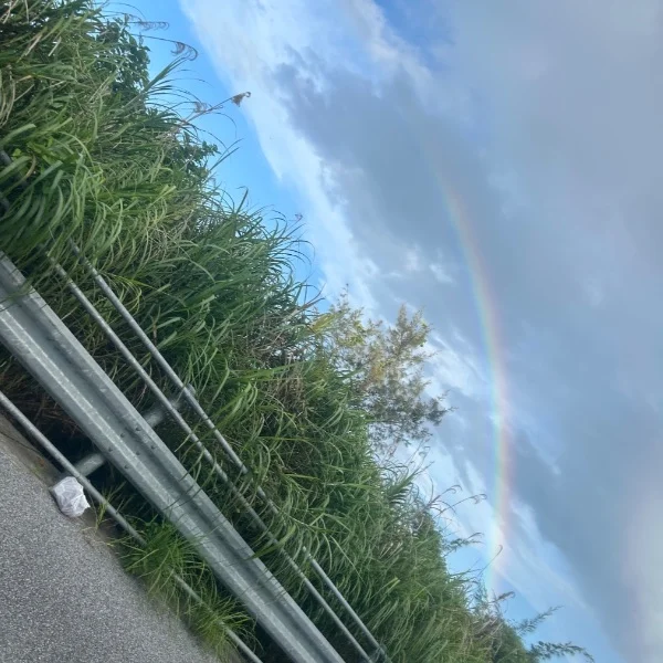 本日18時から大通り✌💛