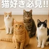 猫好き必見(*^^*)のサムネイル