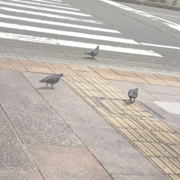 遅ればせながら…