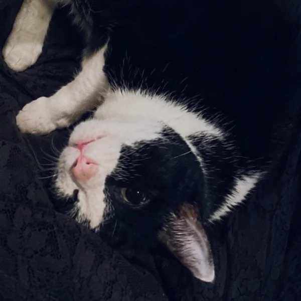 18:00〜　今日ものんびりお待ちしてます🐾