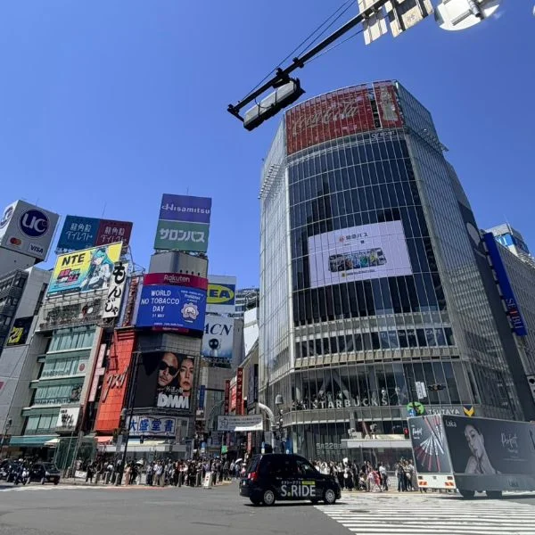 昨日は